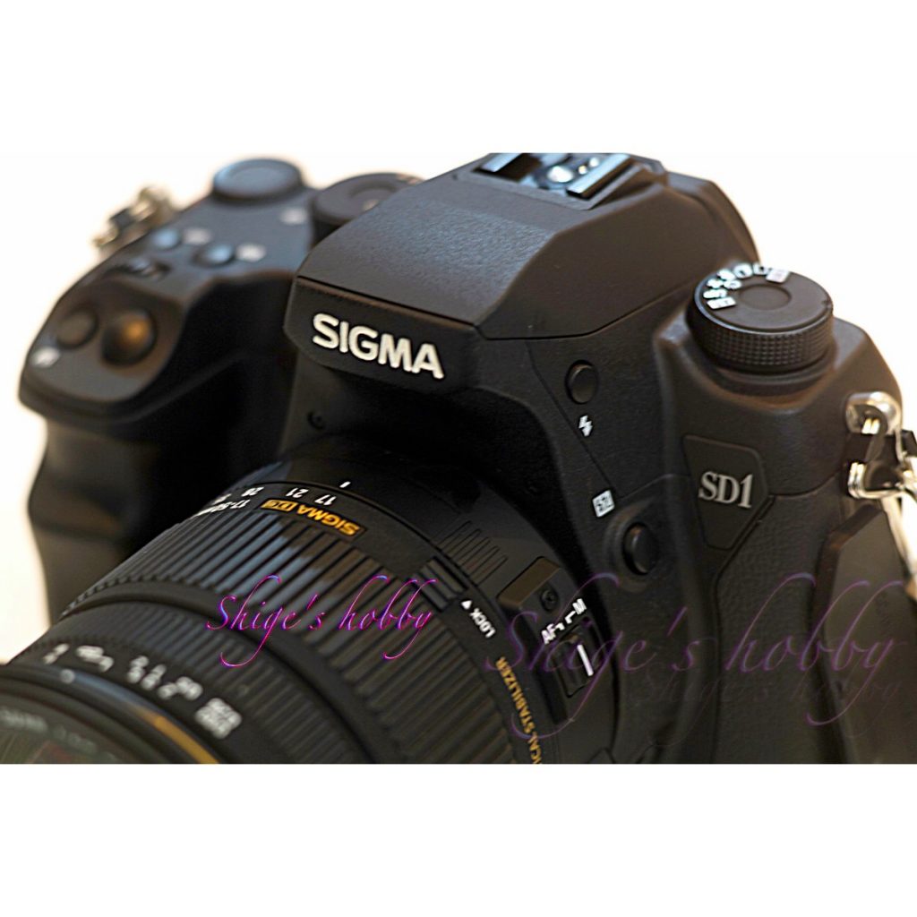 SIGMA SD1 Merrill デジタル カメラ デジイチ-