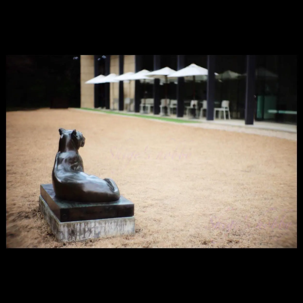 Aperture F1.2