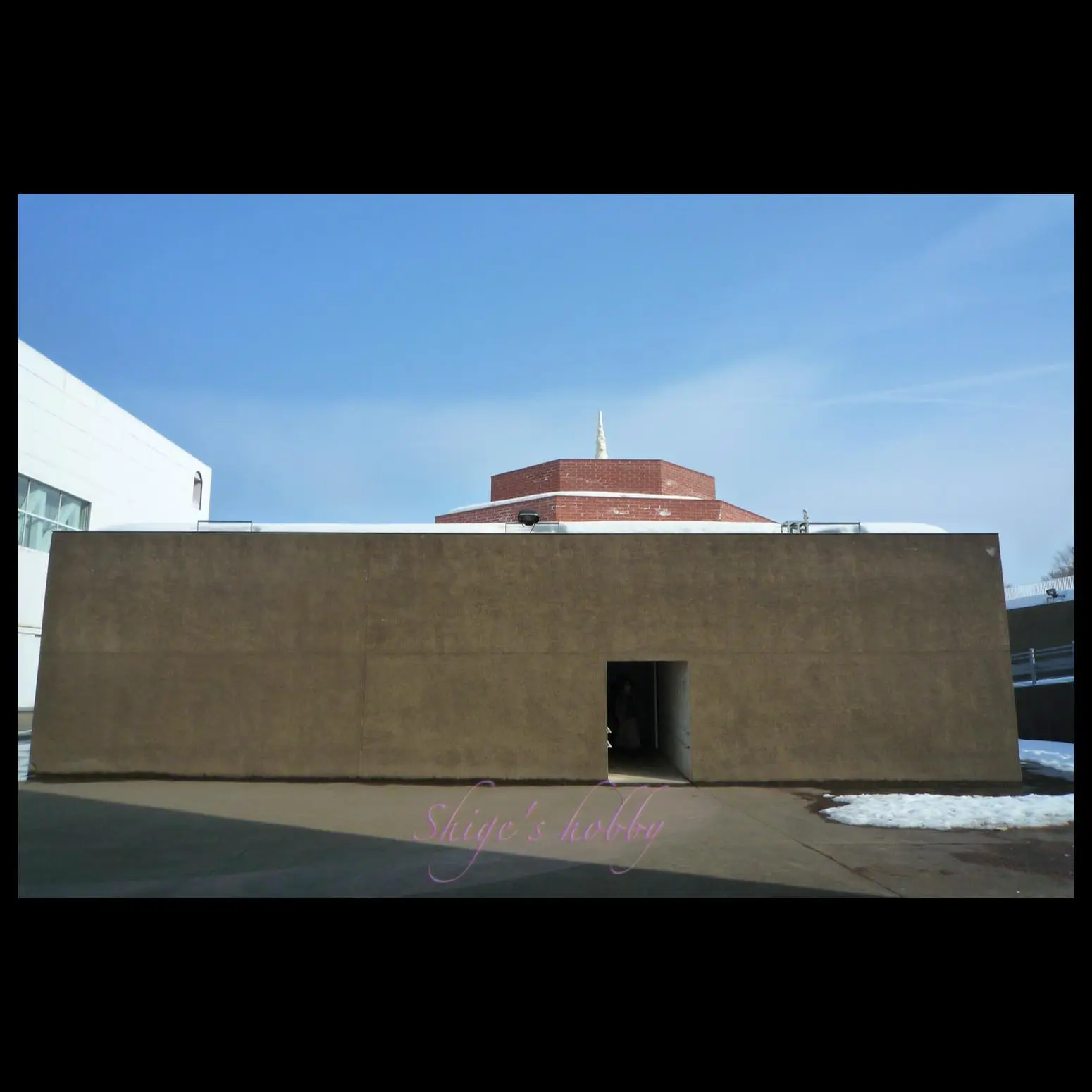 青森県立美術館・奈良美智展