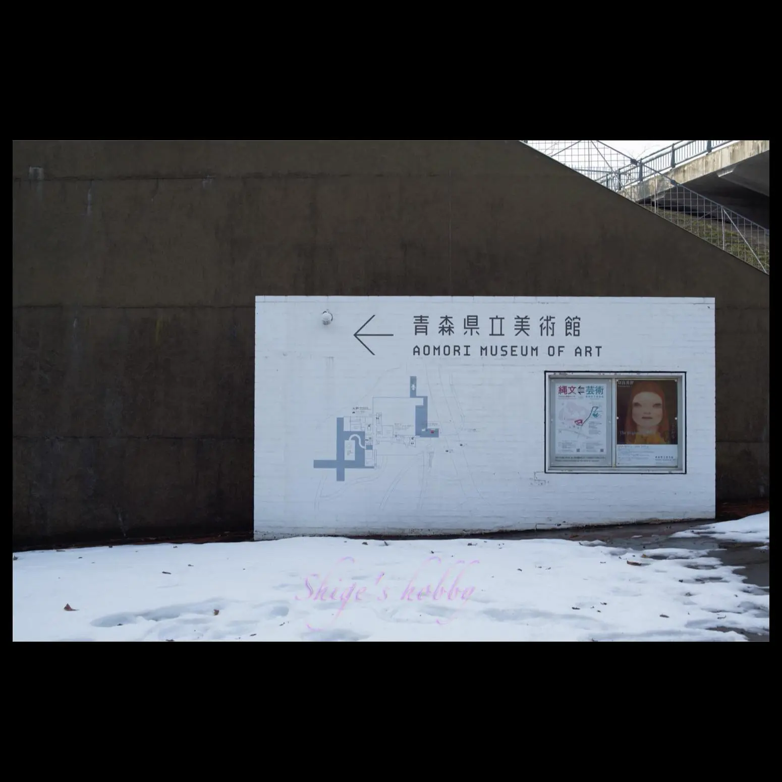 青森県立美術館・奈良美智展