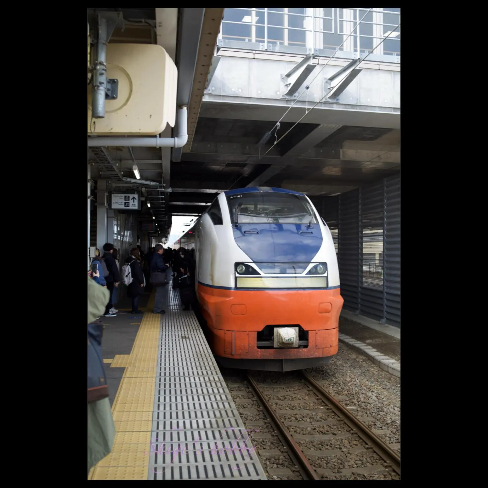 特急つがる1号