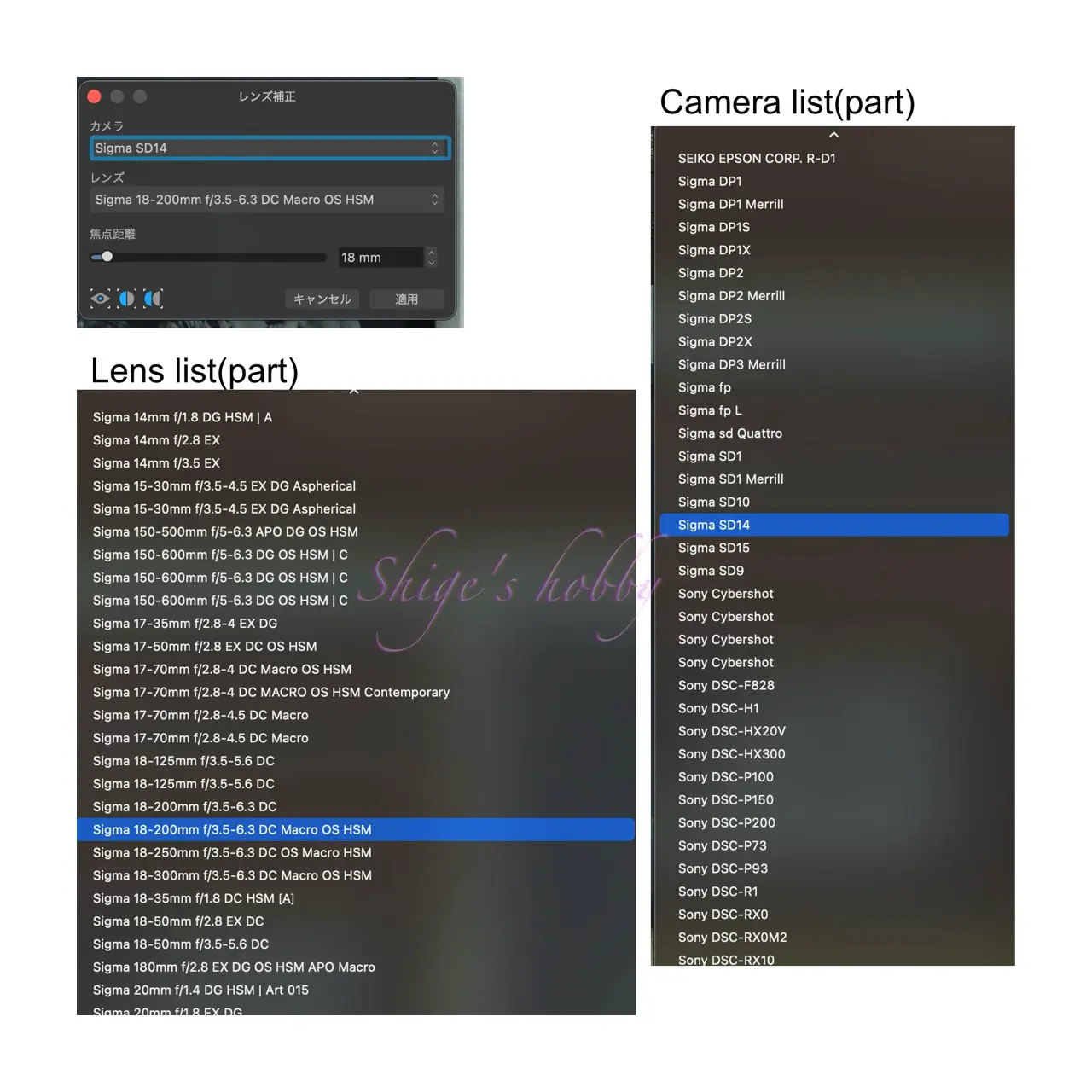 Affinity Photo 2 Distortion Correction