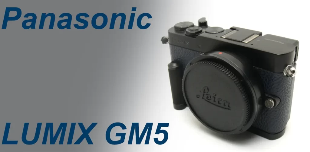 PANASONIC LUMIX DMC-GM5