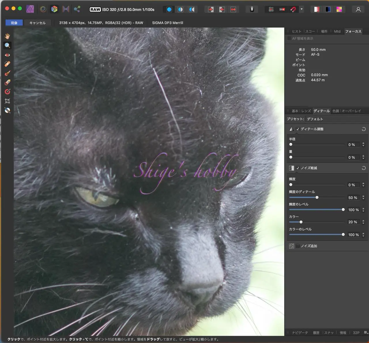 Affinity Photoデフォルト拡大