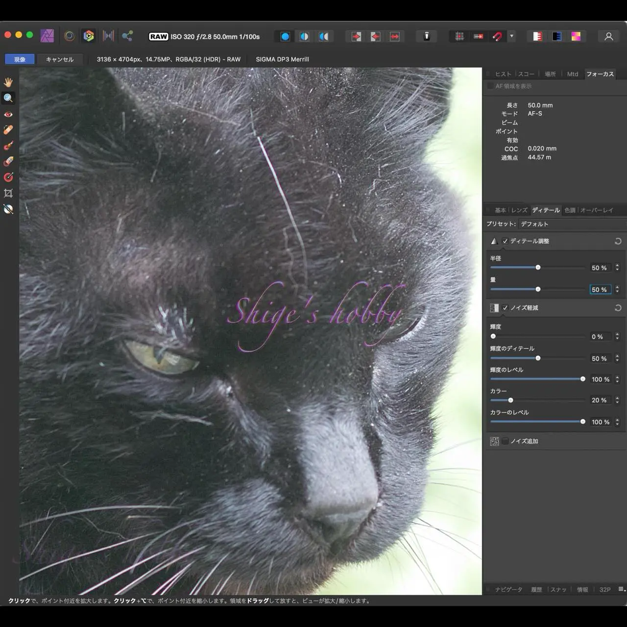 Affinity Photo シャープネス+50%・拡大