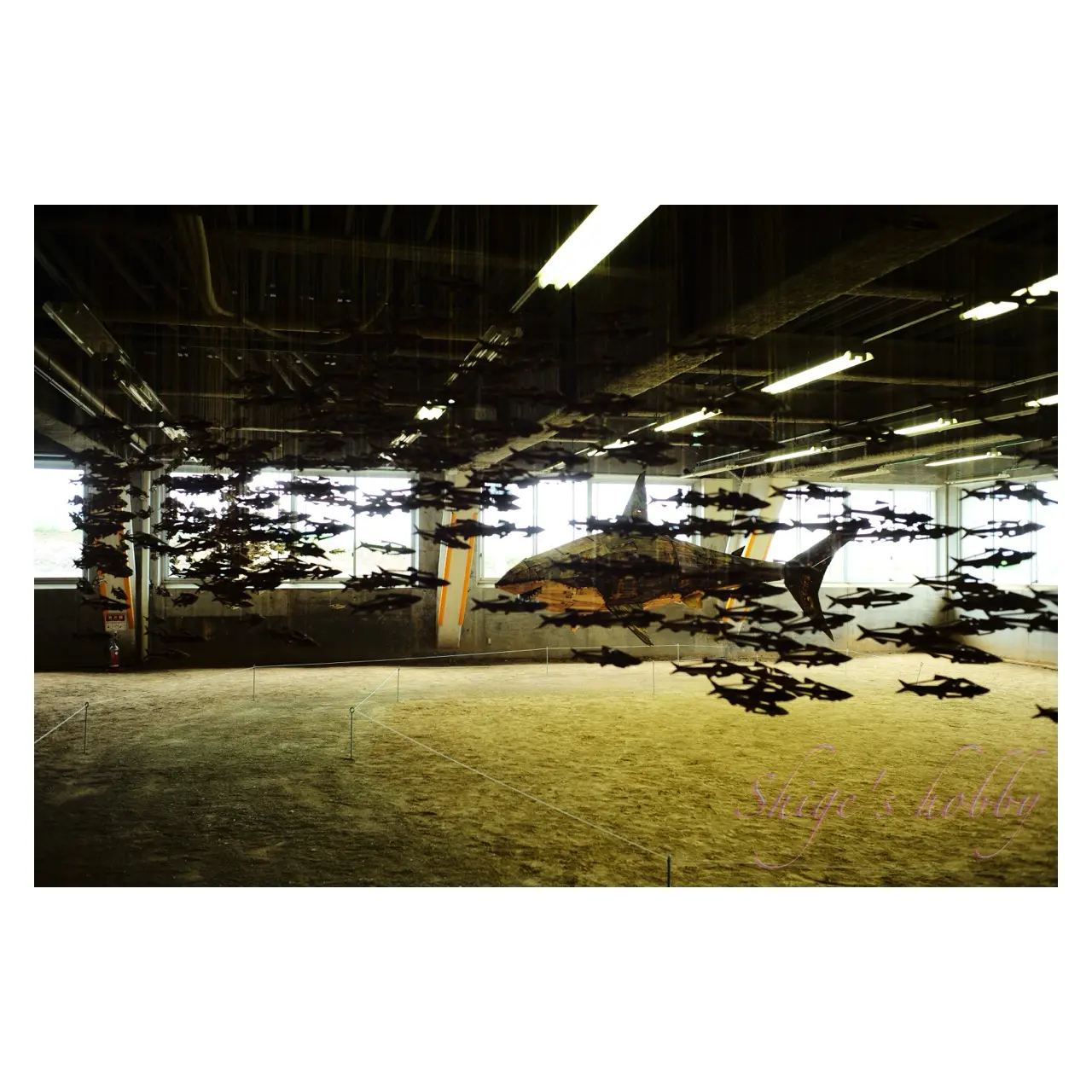 《廃材水族館》 加治聖哉 M079