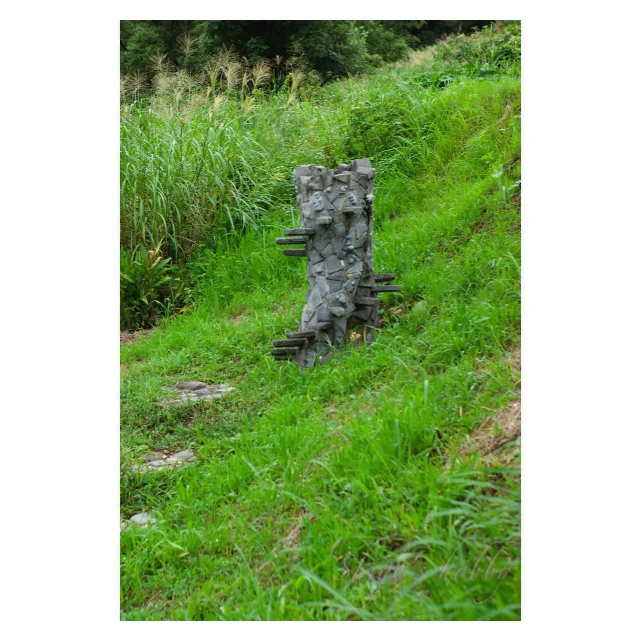 《アート村・鍬柄沢構想》日本工業大学／小川次郎研究室 T323