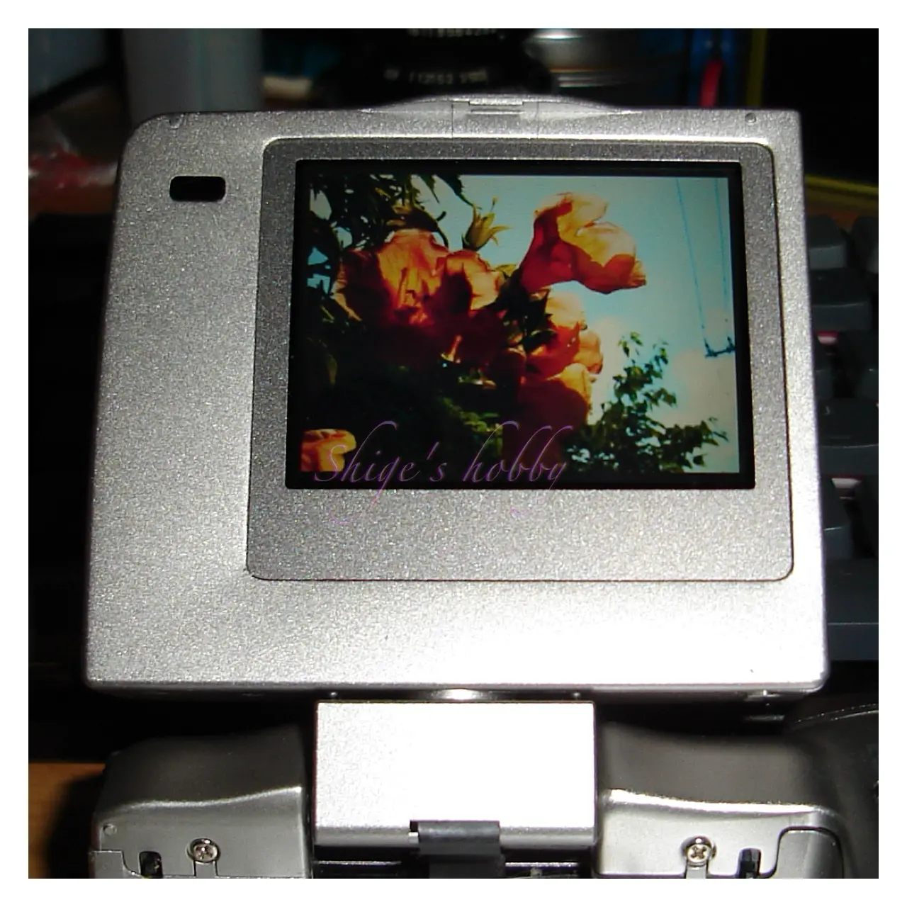 Before image
