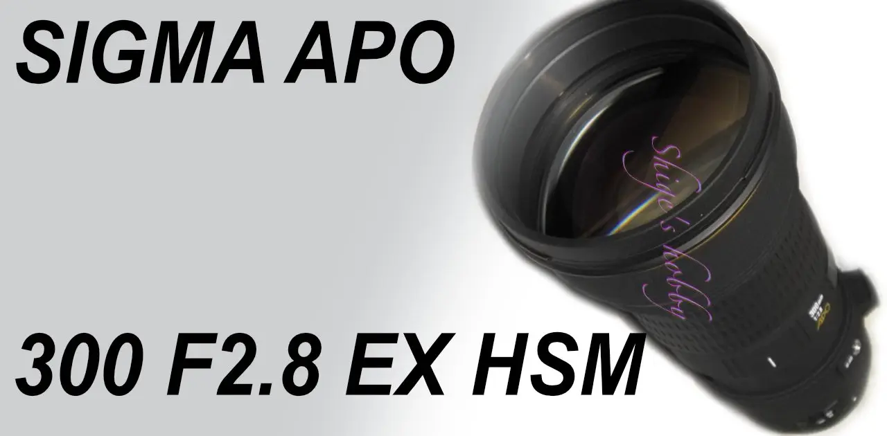 SIGMA APO 300mm F2.8 EX HSM 