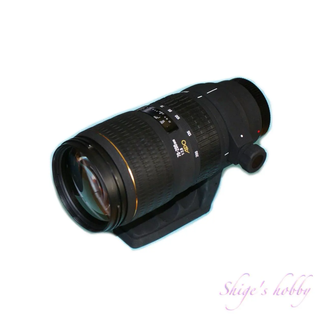 SIGMA APO 70-200mm F2.8 EX HSM