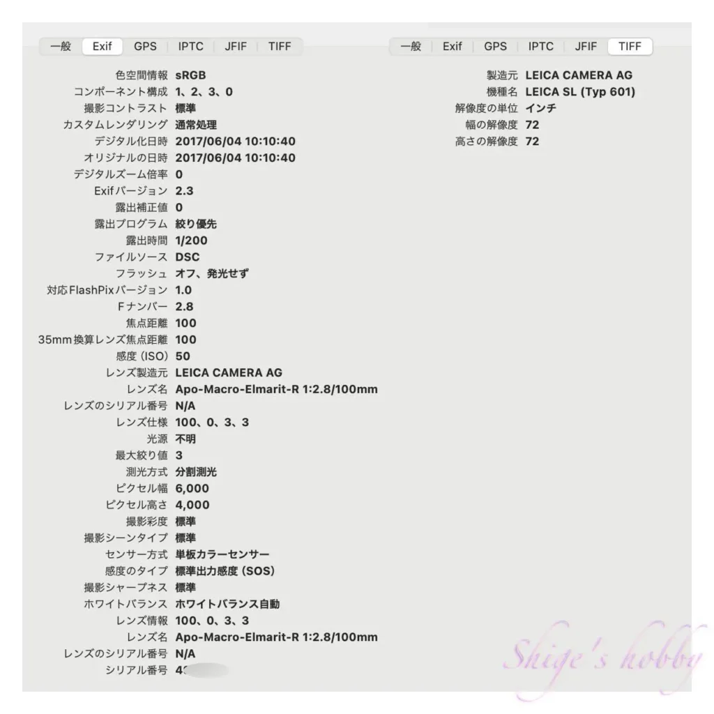 LEICA APO MACRO ELMARIT 100mm +LEICA SL Typ601