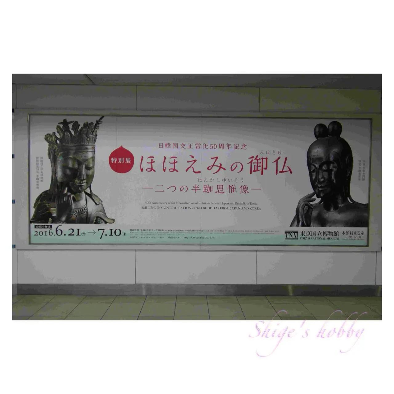 歪み補正済み・Distortion corrected