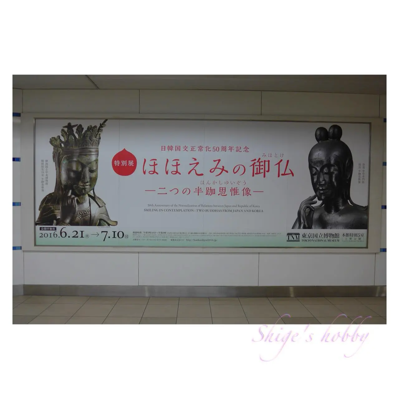 歪み補正なし・No distortion correction
