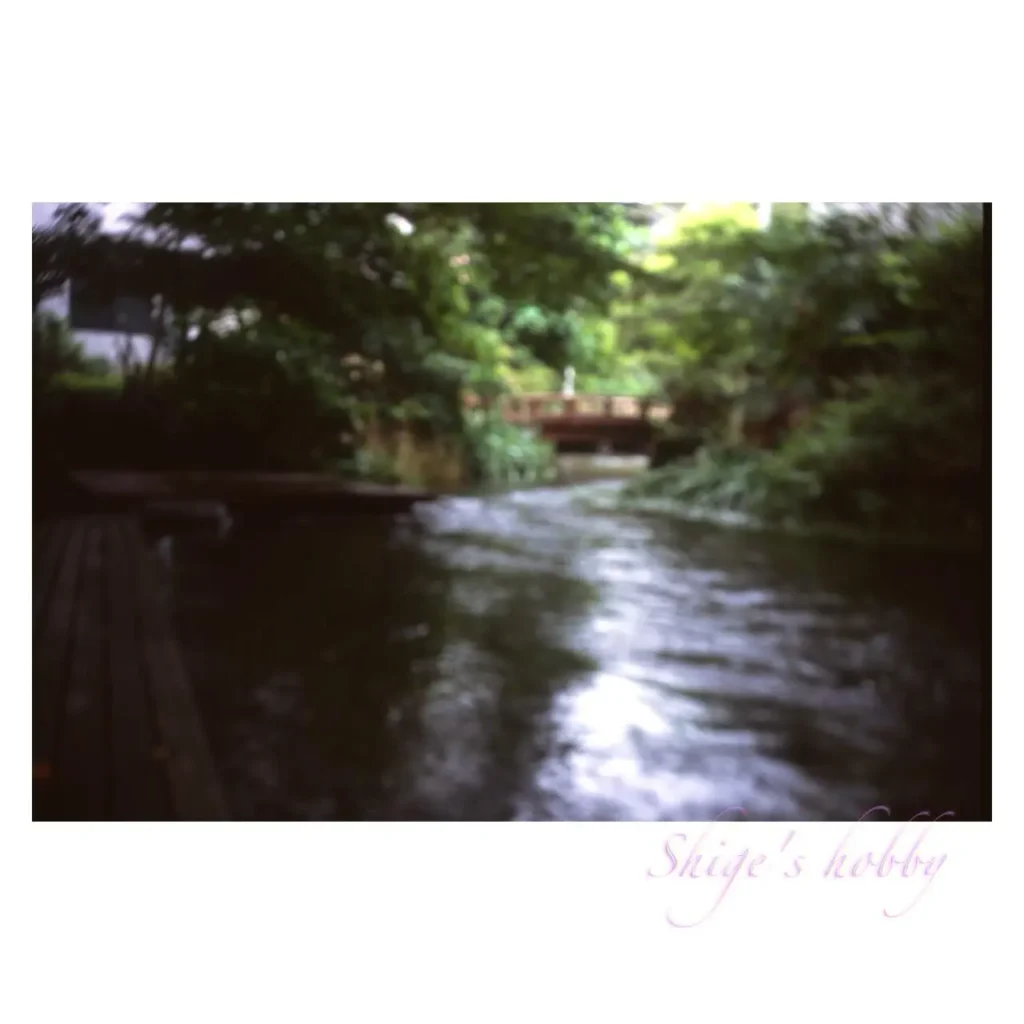 柿田川・Kakitagawa-river.