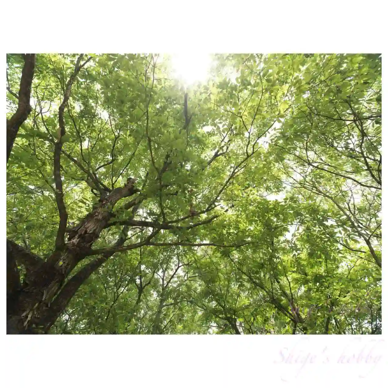 After image