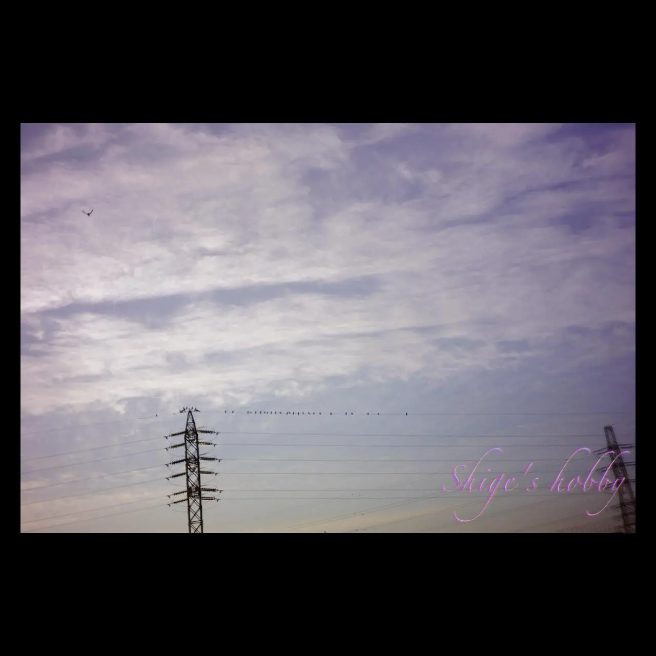 SONY α NEX-7周辺カラーキャスト例