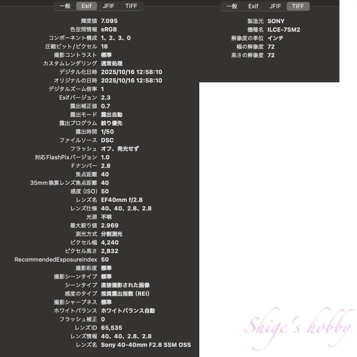 CANON EF 40mm +SONY α7Sii