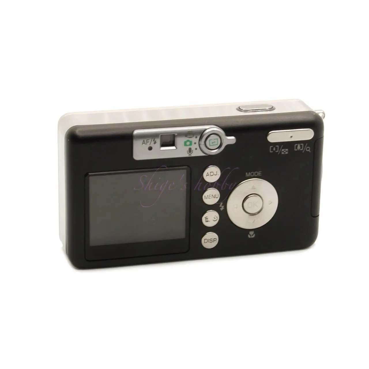 RICOH Caplio R1V