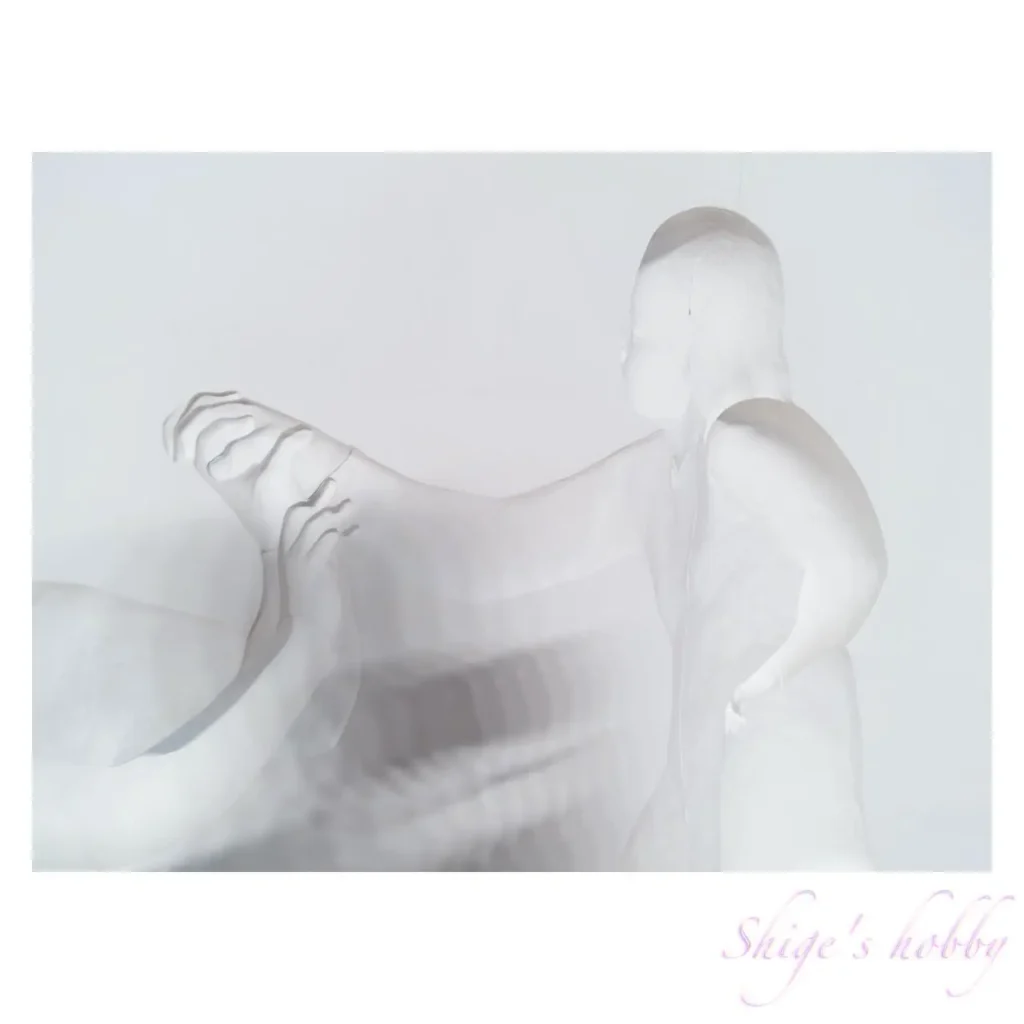 中谷ミチコ・影、魚をねかしつける