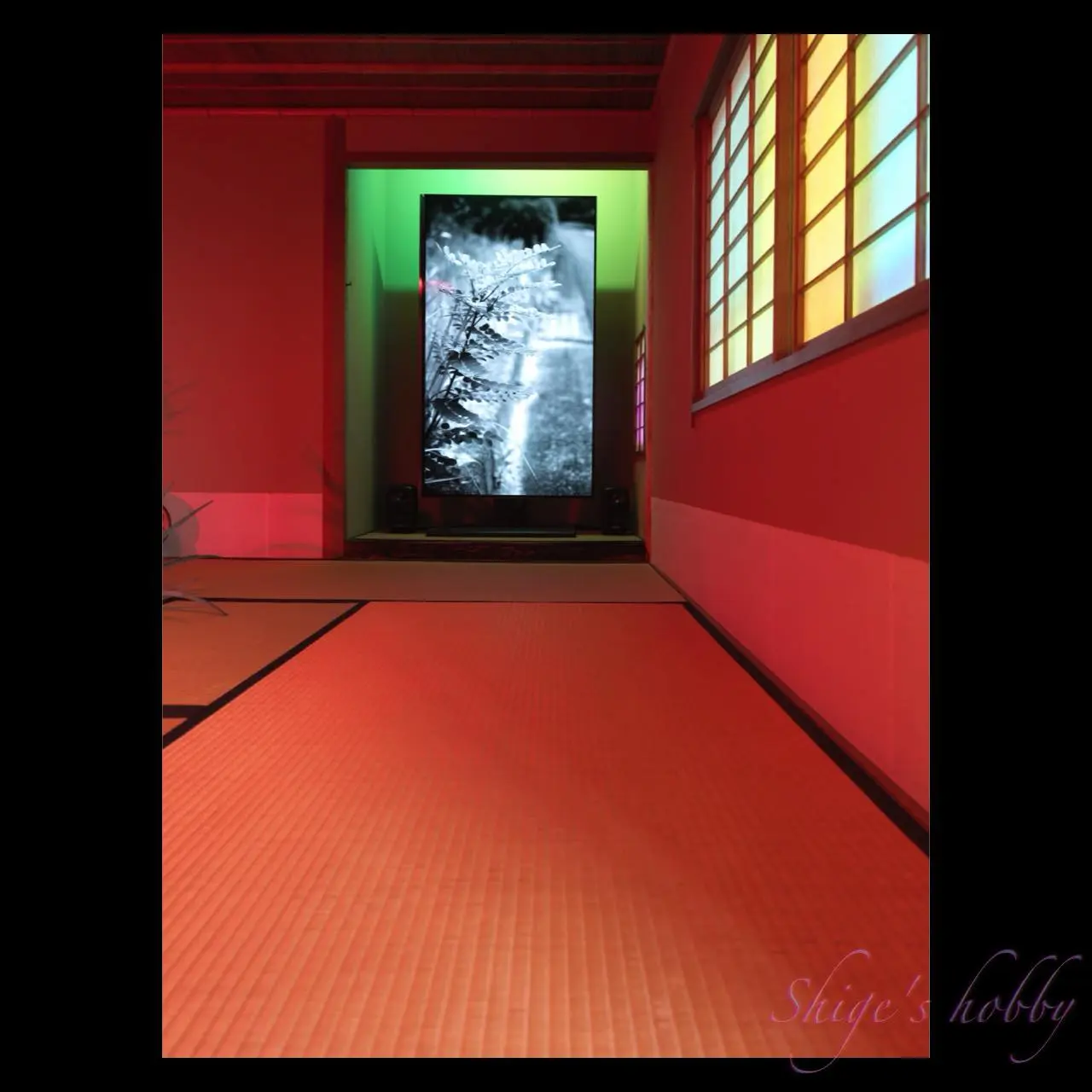 《土のアゴラ|瀬戸2025》大小島真木