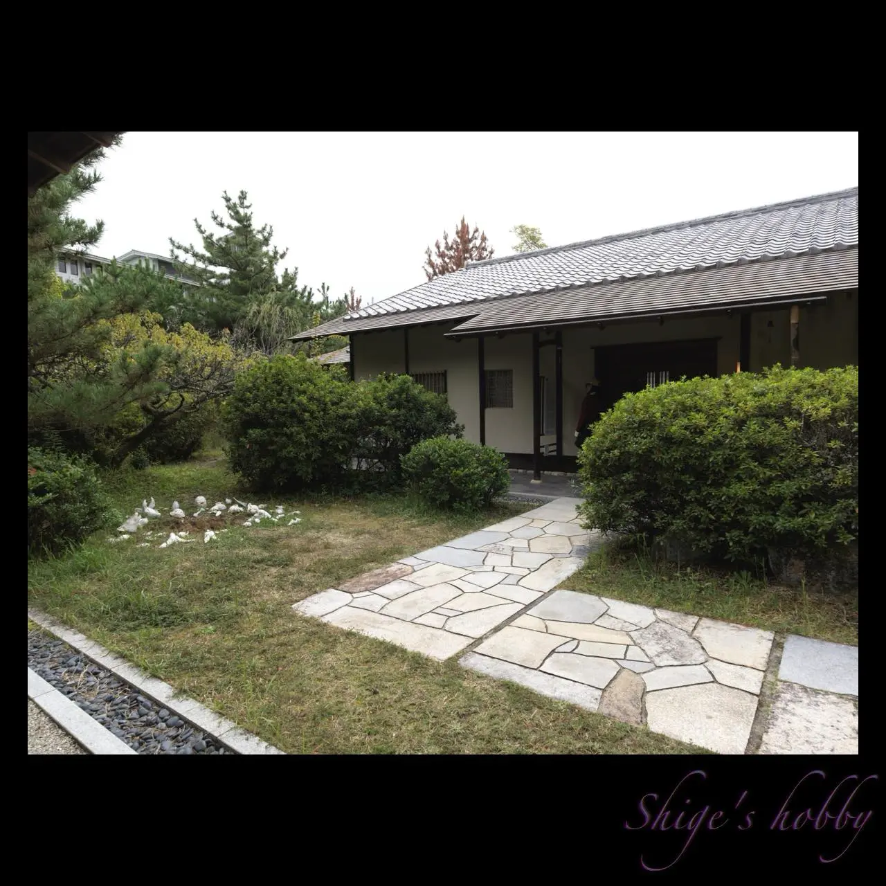 《土のアゴラ|瀬戸2025》大小島真木