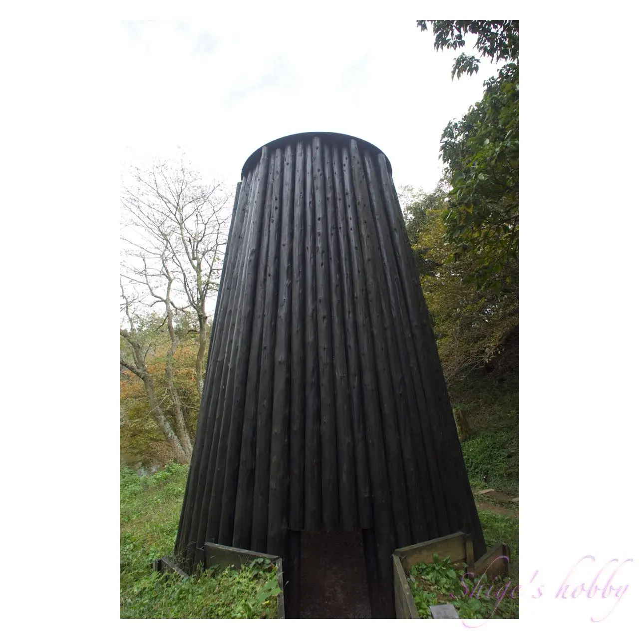 増田セバスチャン. Sebastian Masuda. ぽっかりあいた穴の秘密. 《Gaping Hole Secret》 2019年 - 2020年