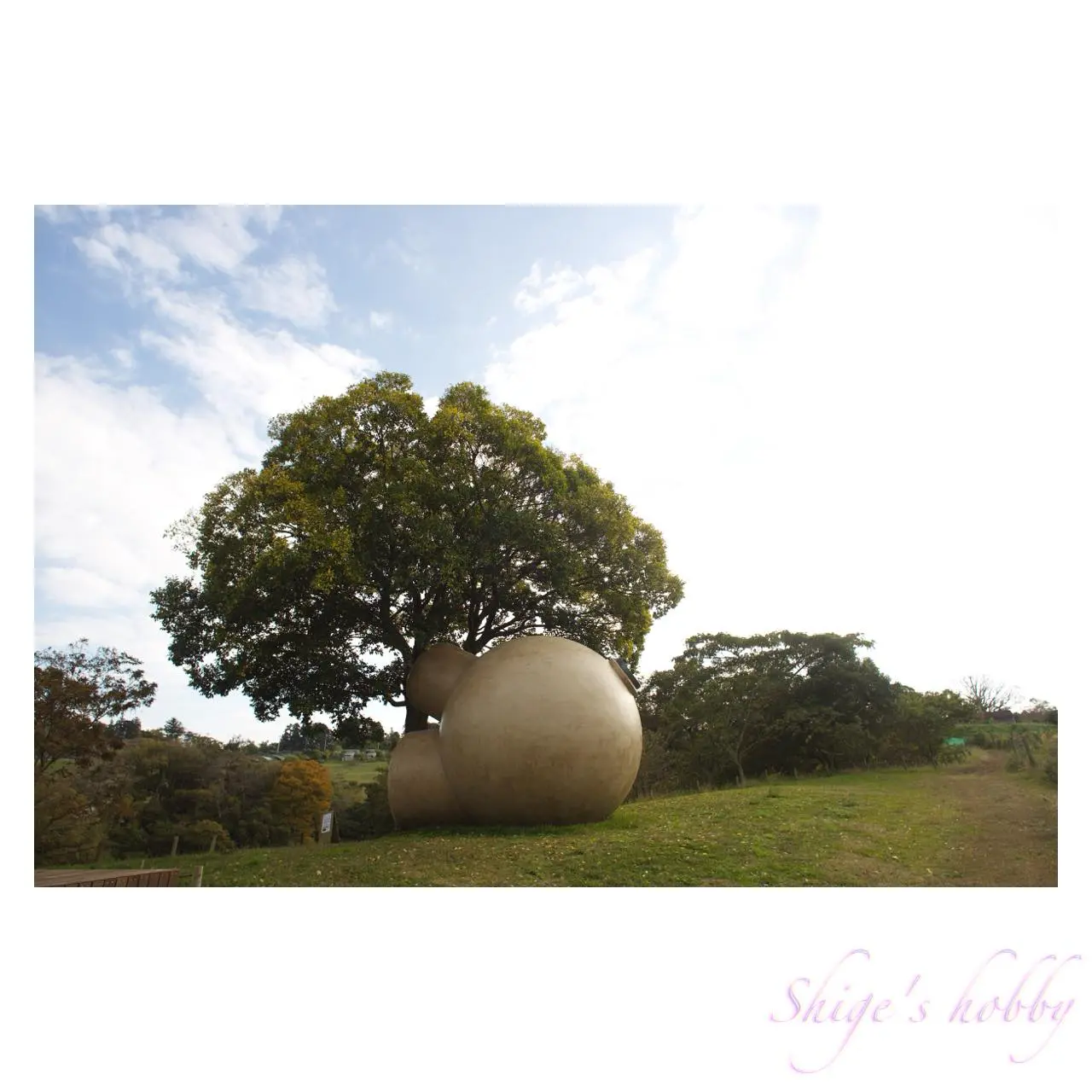 オラファー・エリアソン《Mirror my orgasmic journey in me》