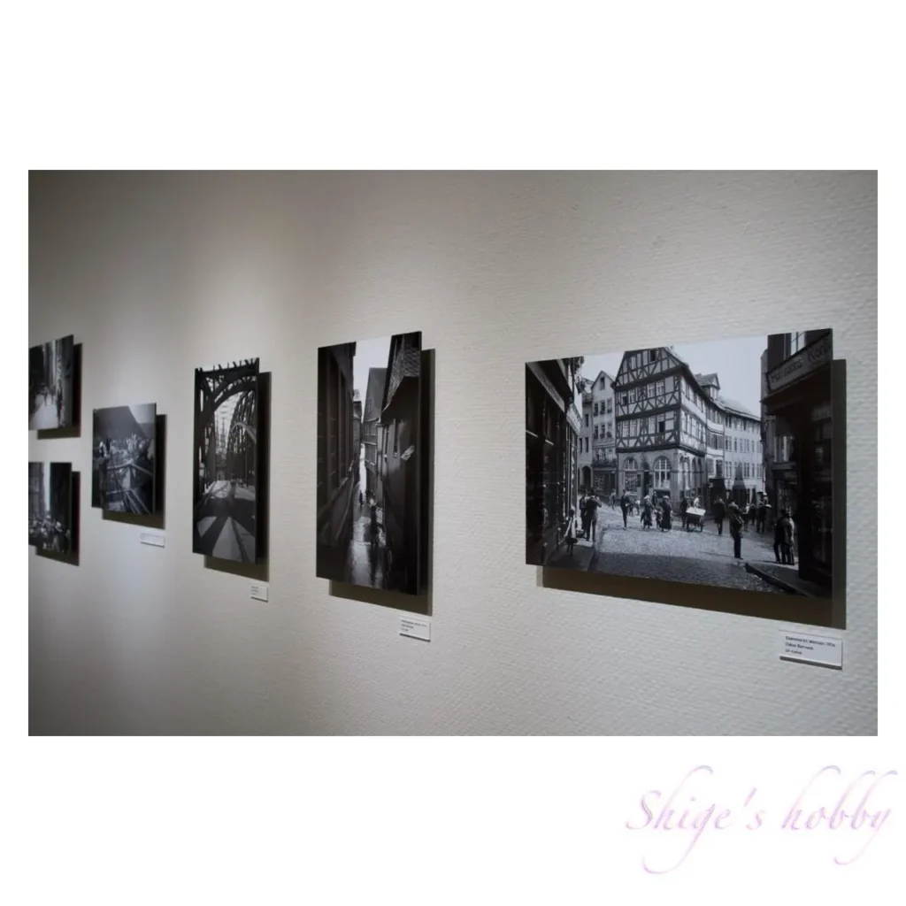 世界を目撃し続けた1世紀・スパイラルガーデン(2025)