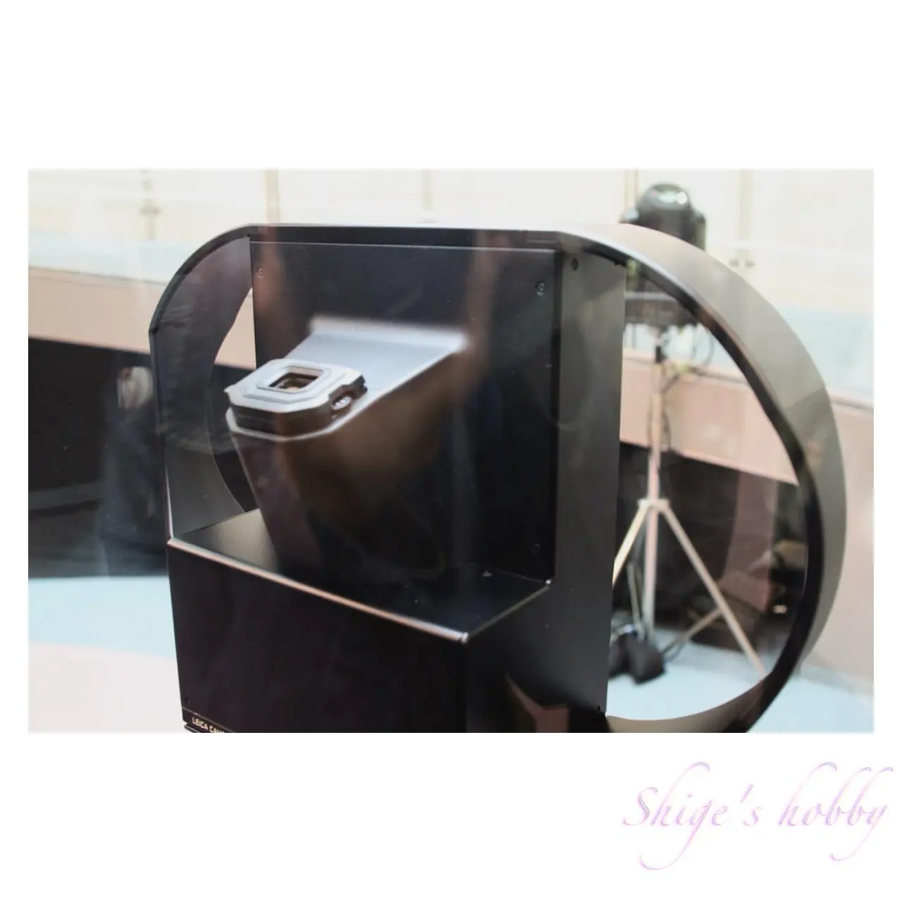 世界を目撃し続けた1世紀・スパイラルガーデン(2025)