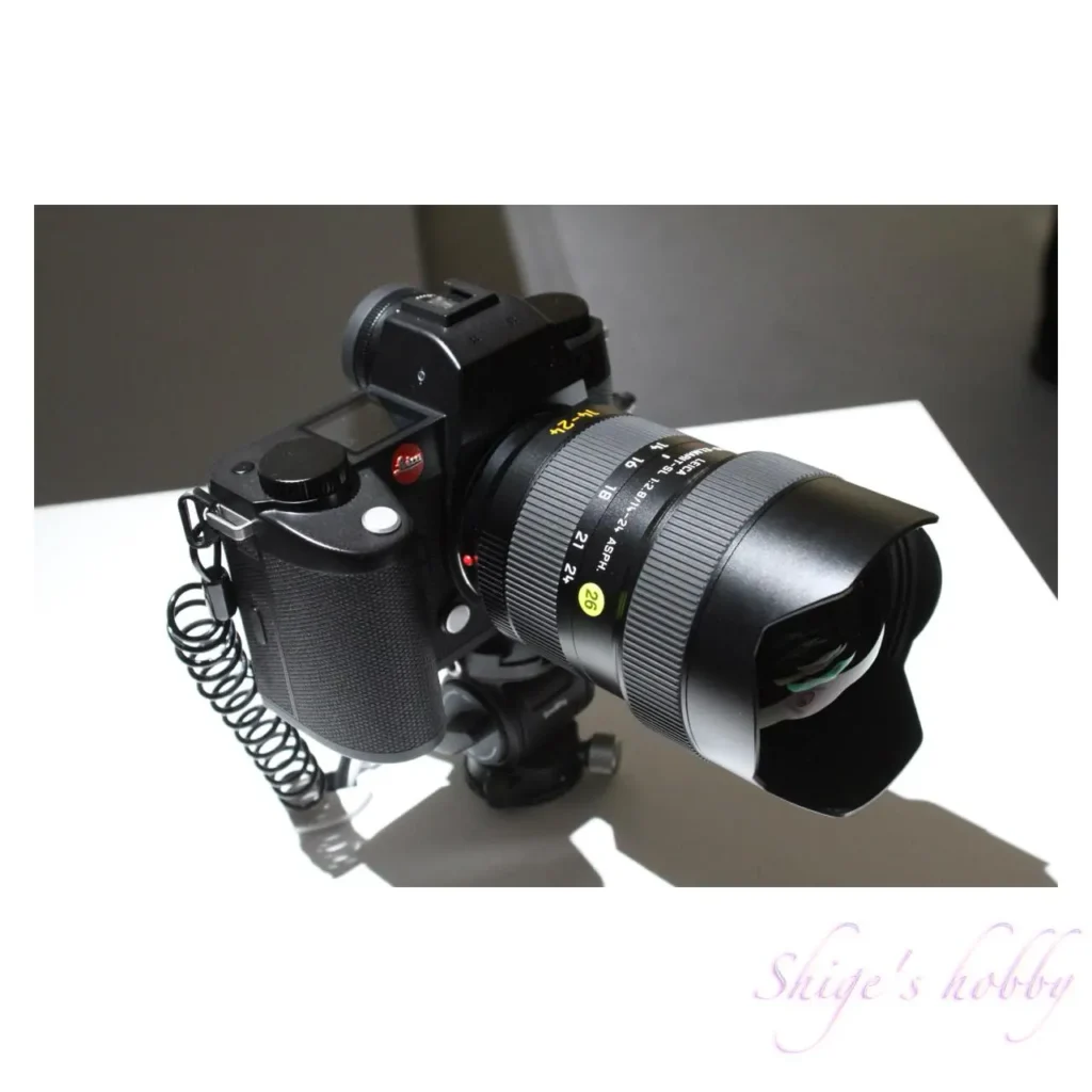 世界を目撃し続けた1世紀・スパイラルガーデン(2025)