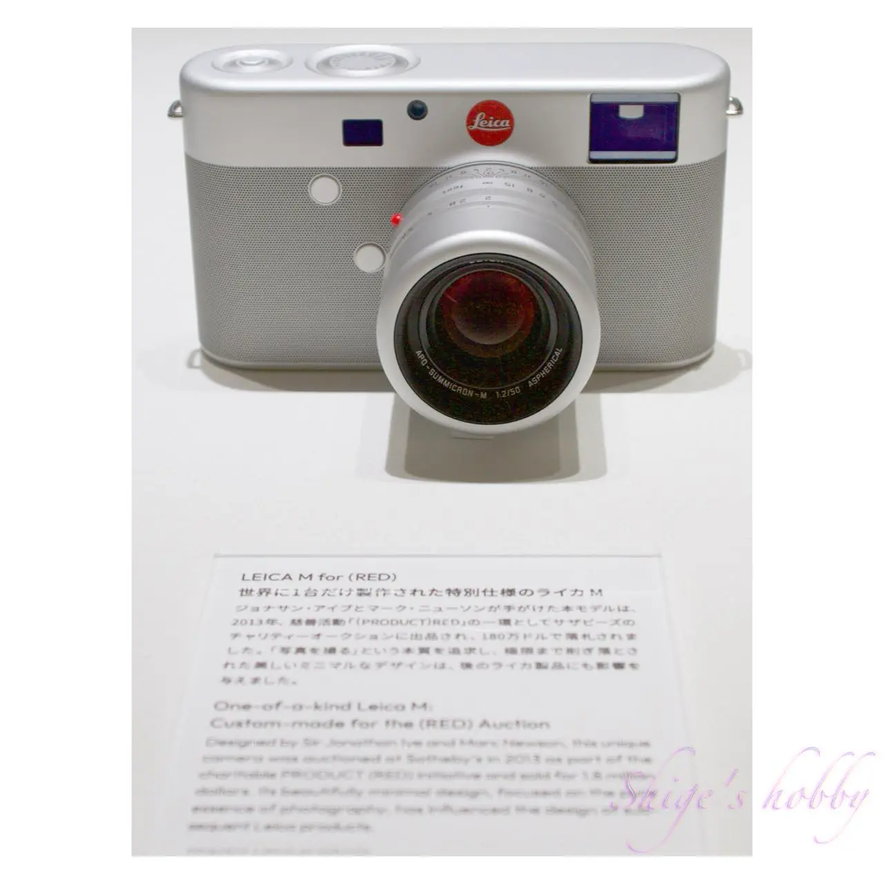 世界を目撃し続けた1世紀・スパイラルガーデン(2025)