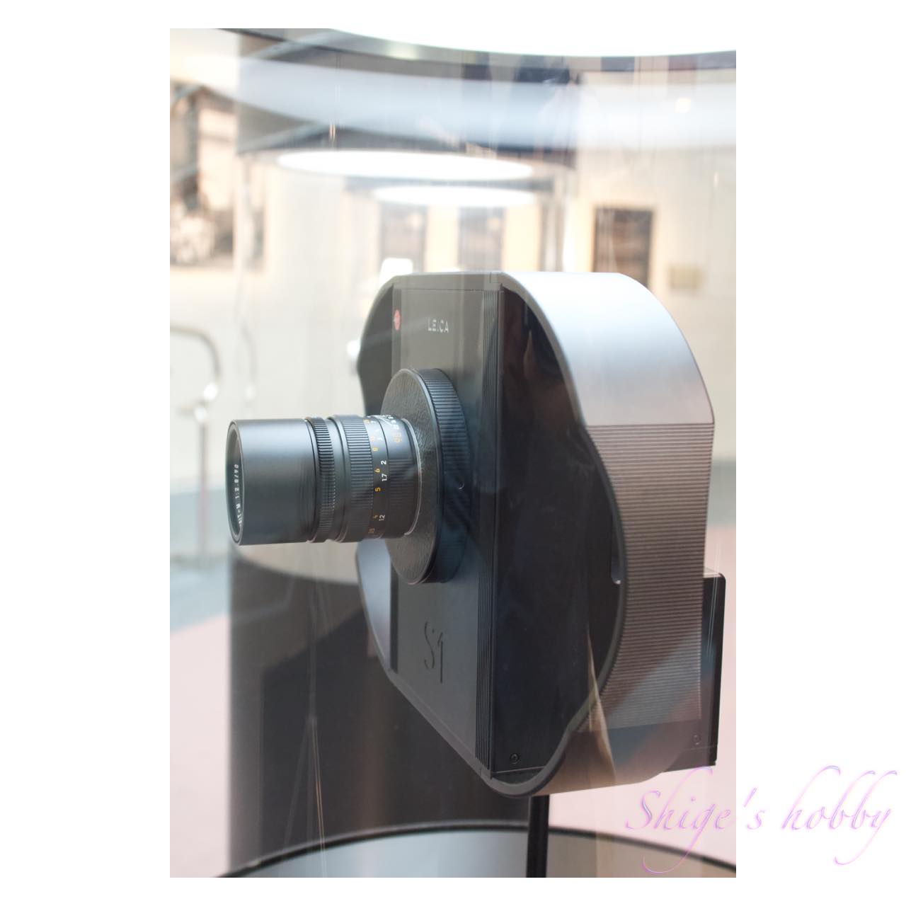 世界を目撃し続けた1世紀・スパイラルガーデン(2025)