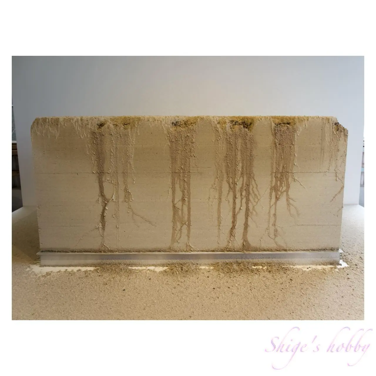 ロバート・アンドリュー《ブルの言葉》