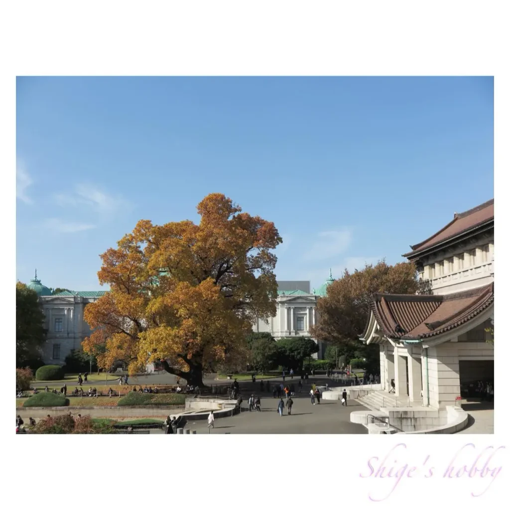 東京国立博物館・東洋館テラスからの眺め