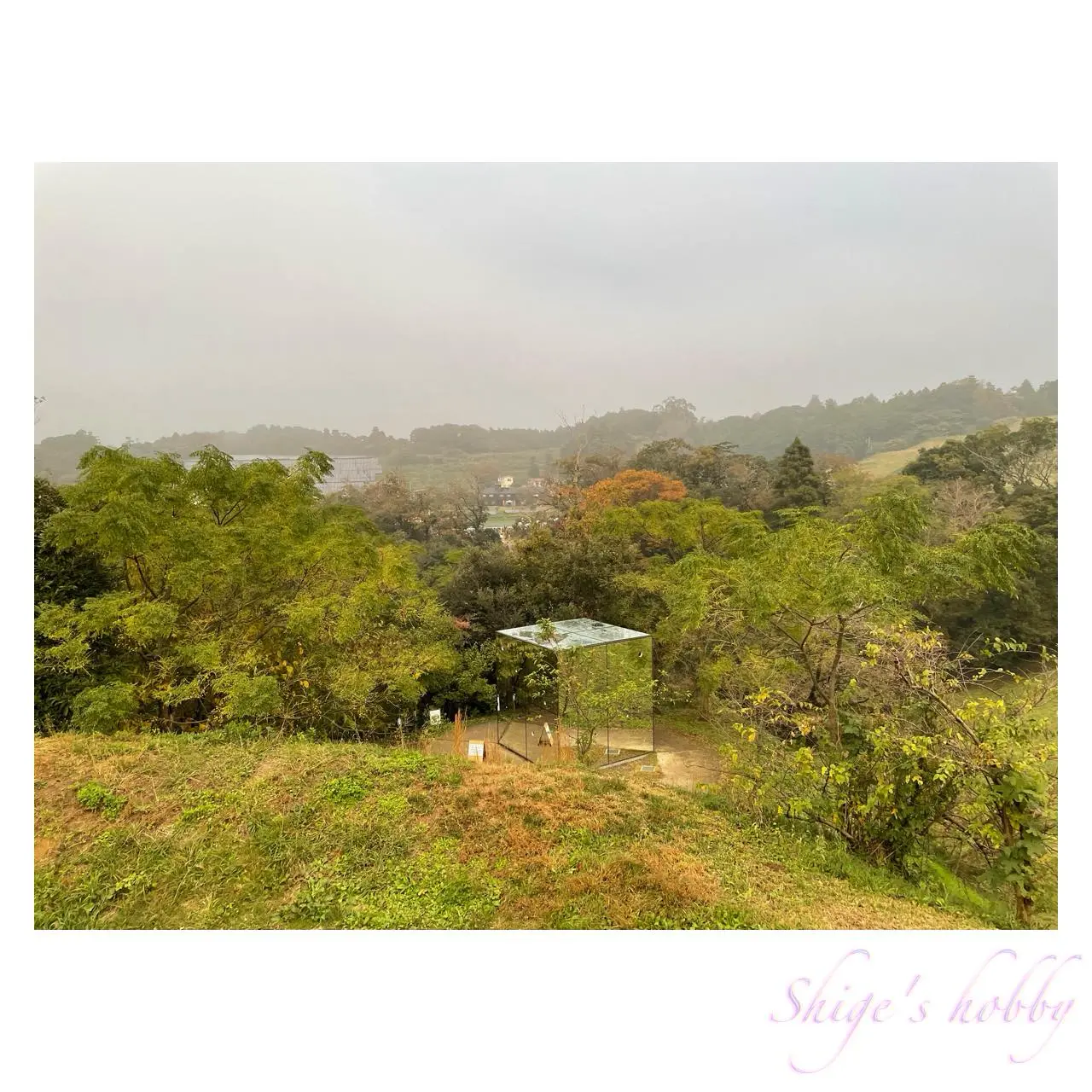 草間彌生《無限の鏡の間─心の中の幻》