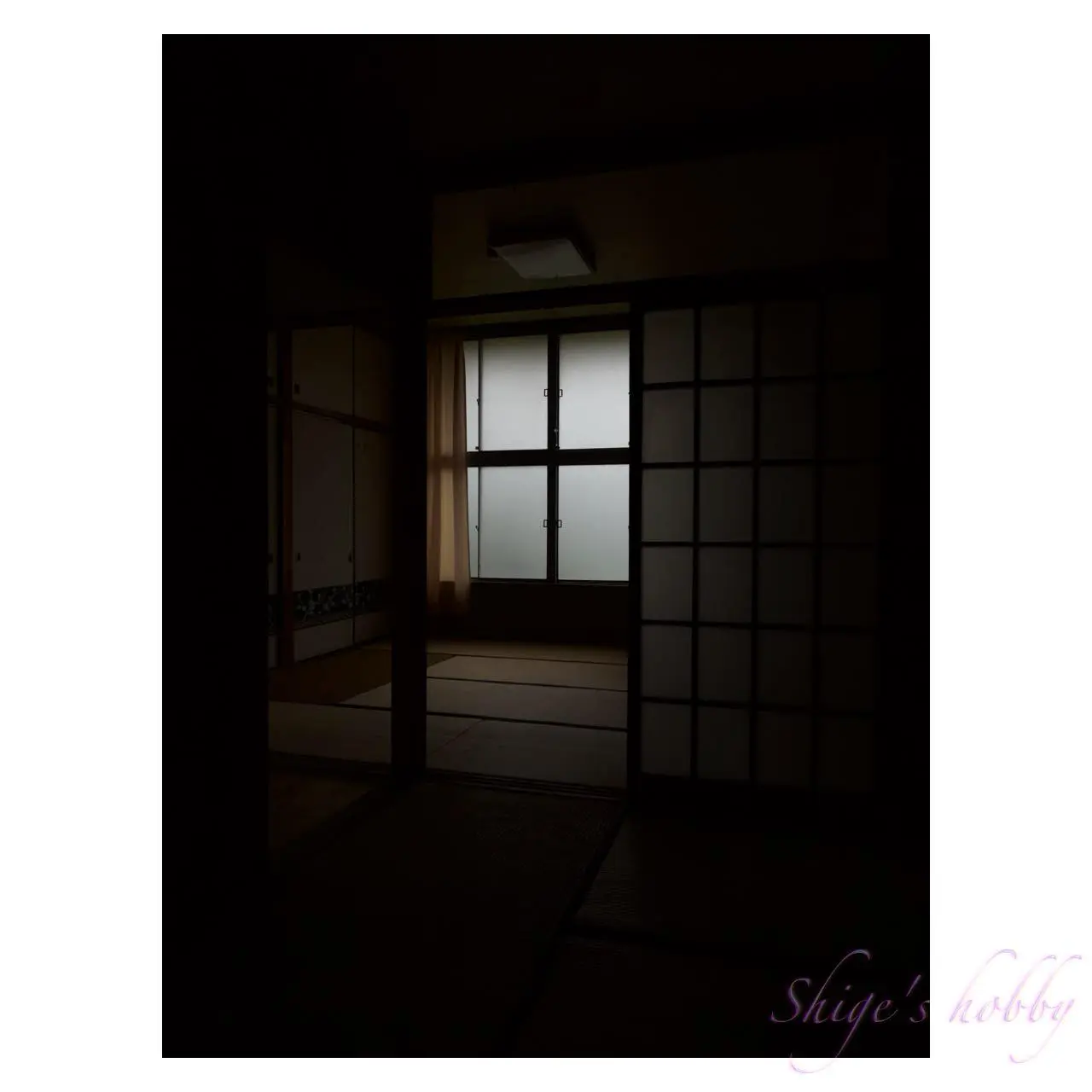 アドリアン・ビシャル・ロハス《地球の詩》