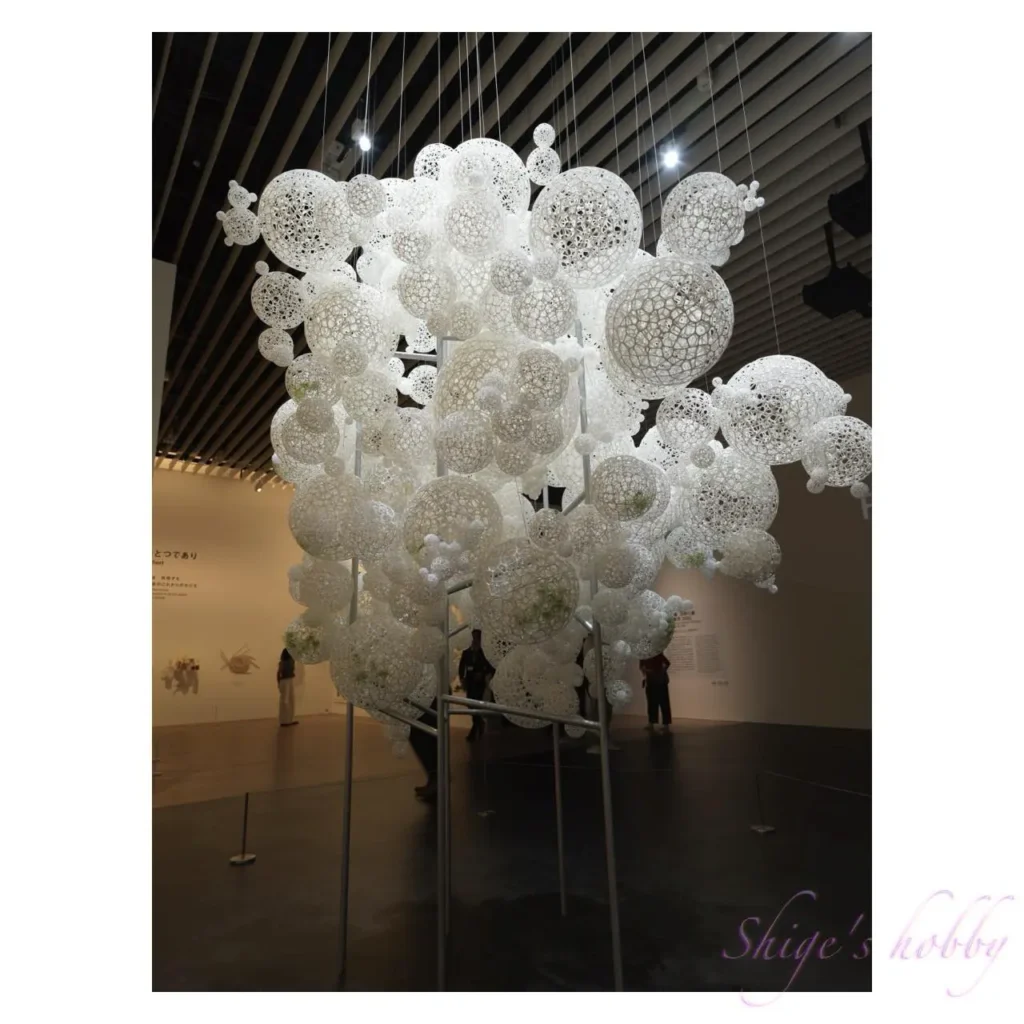 「ゆらめきの森」藤本壮介の建築