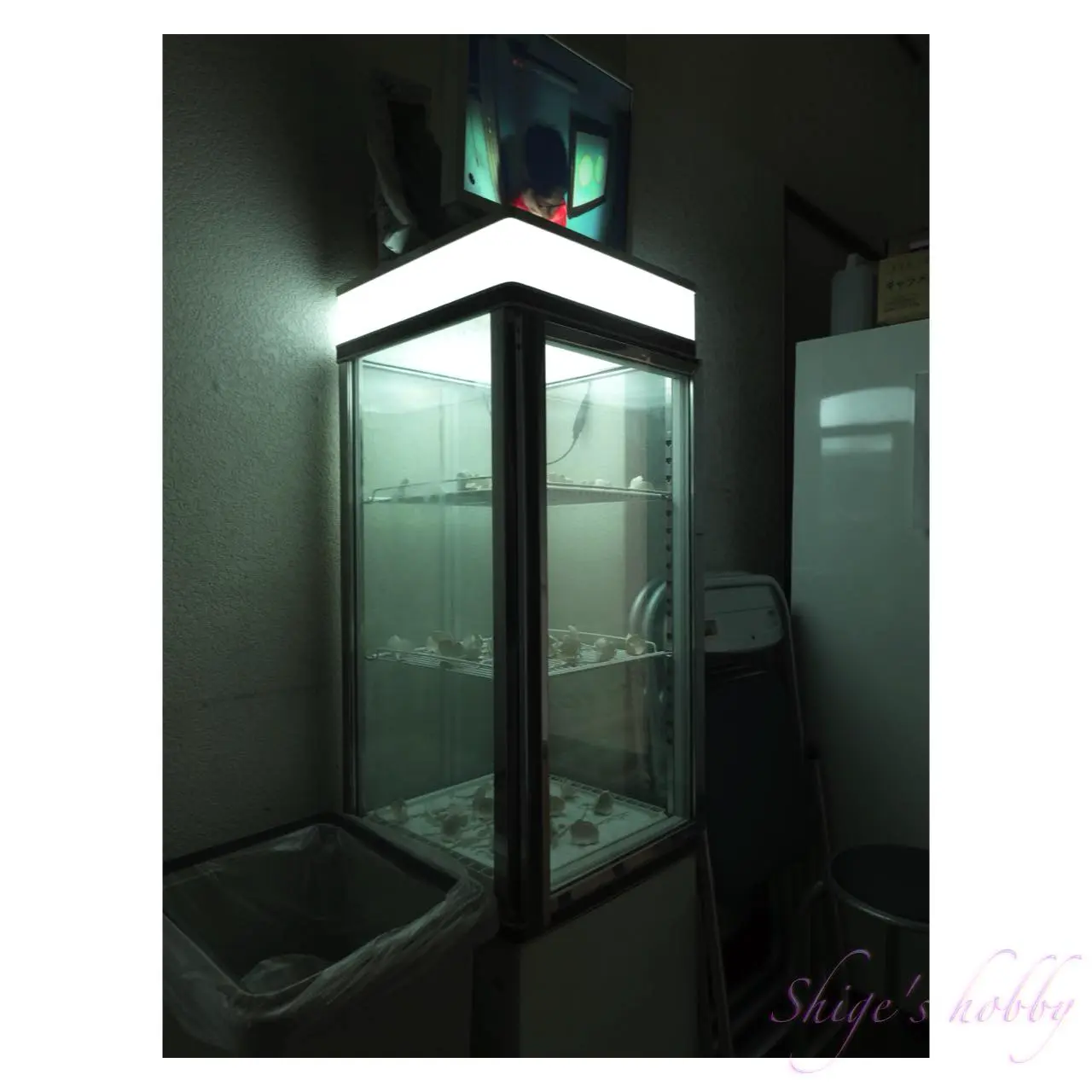 冨安由真《The Silence(Two suns)》