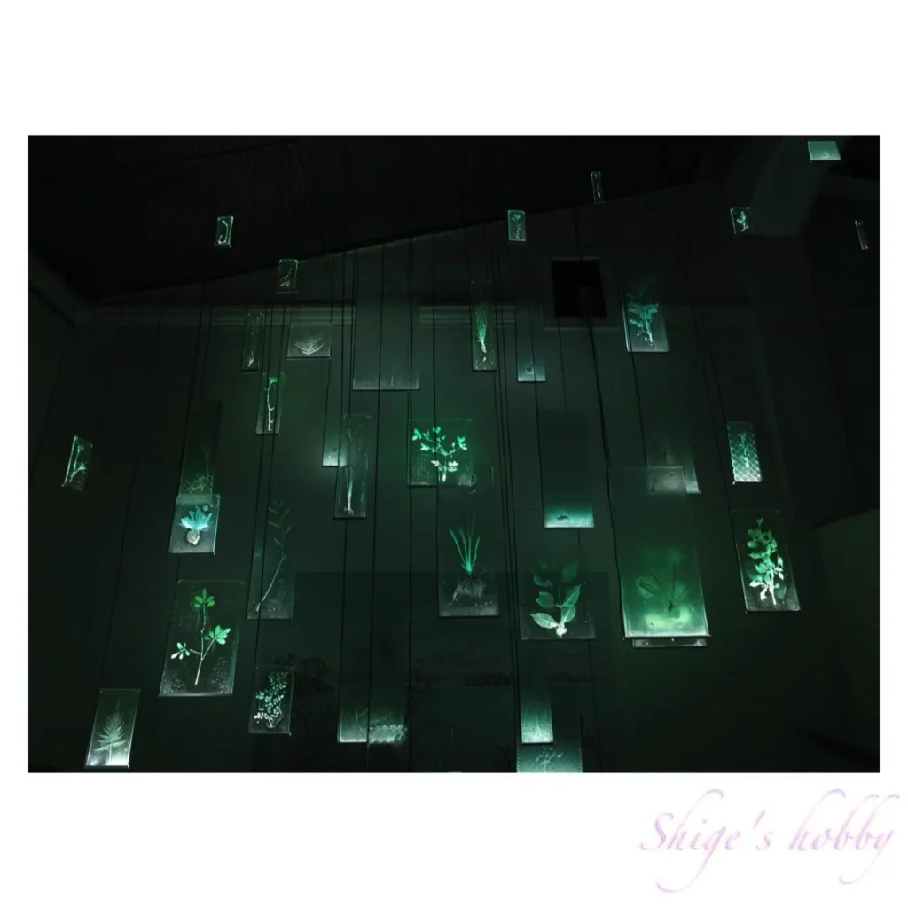 佐々木類《忘れじのあわい》