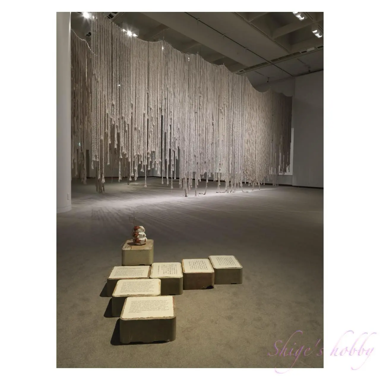 アフラ・アル・ダヘリ、大小島真木