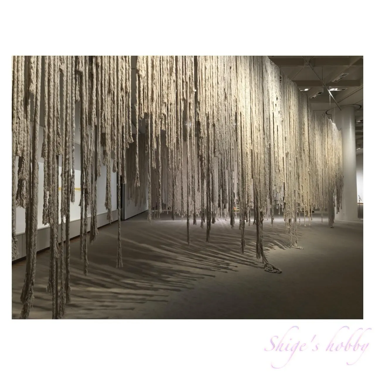 アフラ・アル・ダヘリのインスタレーション