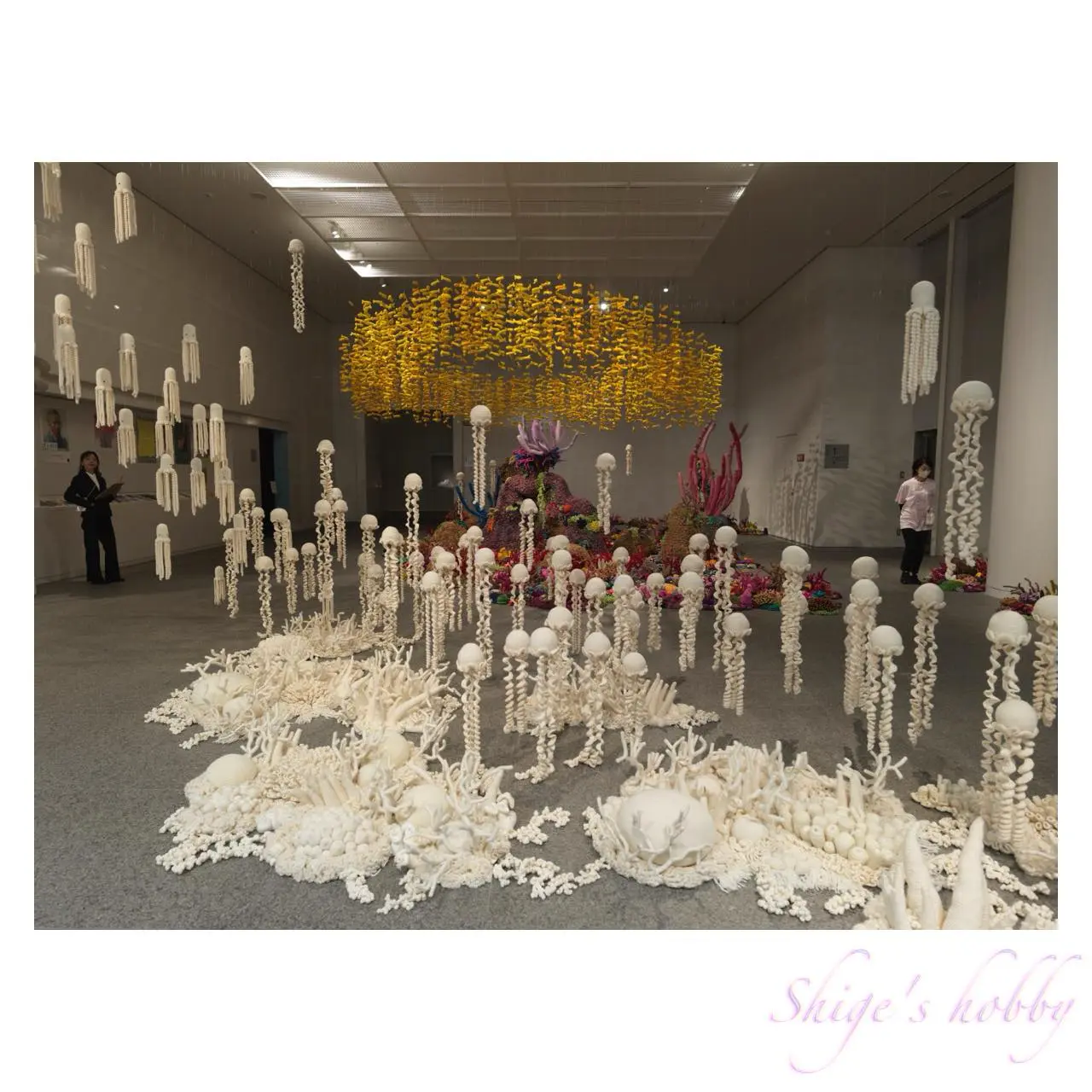 《海流と開花のあいだ・Between Currents and Bloom》