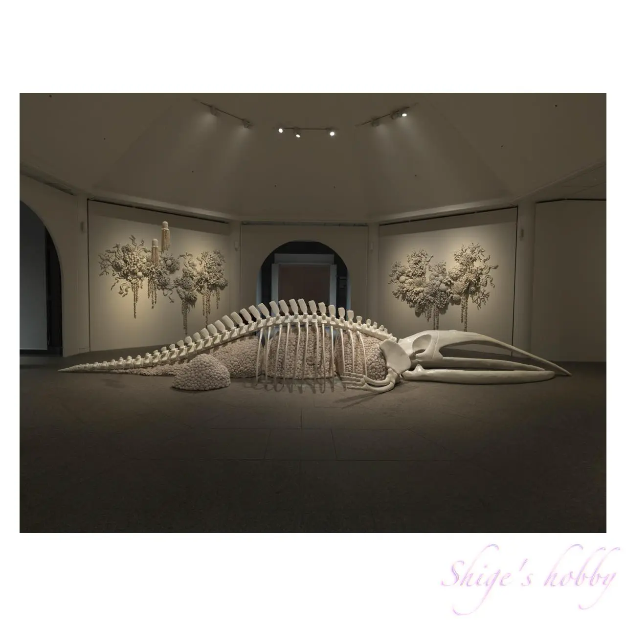 《海流と開花のあいだ・Between Currents and Bloom》