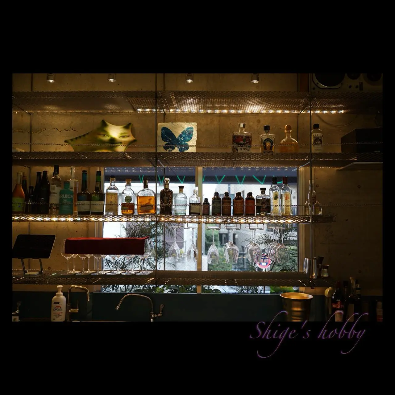 Bar exhibition view