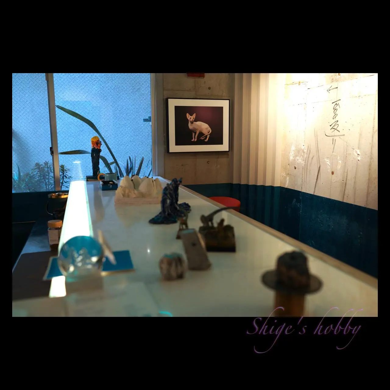 Bar exhibition view