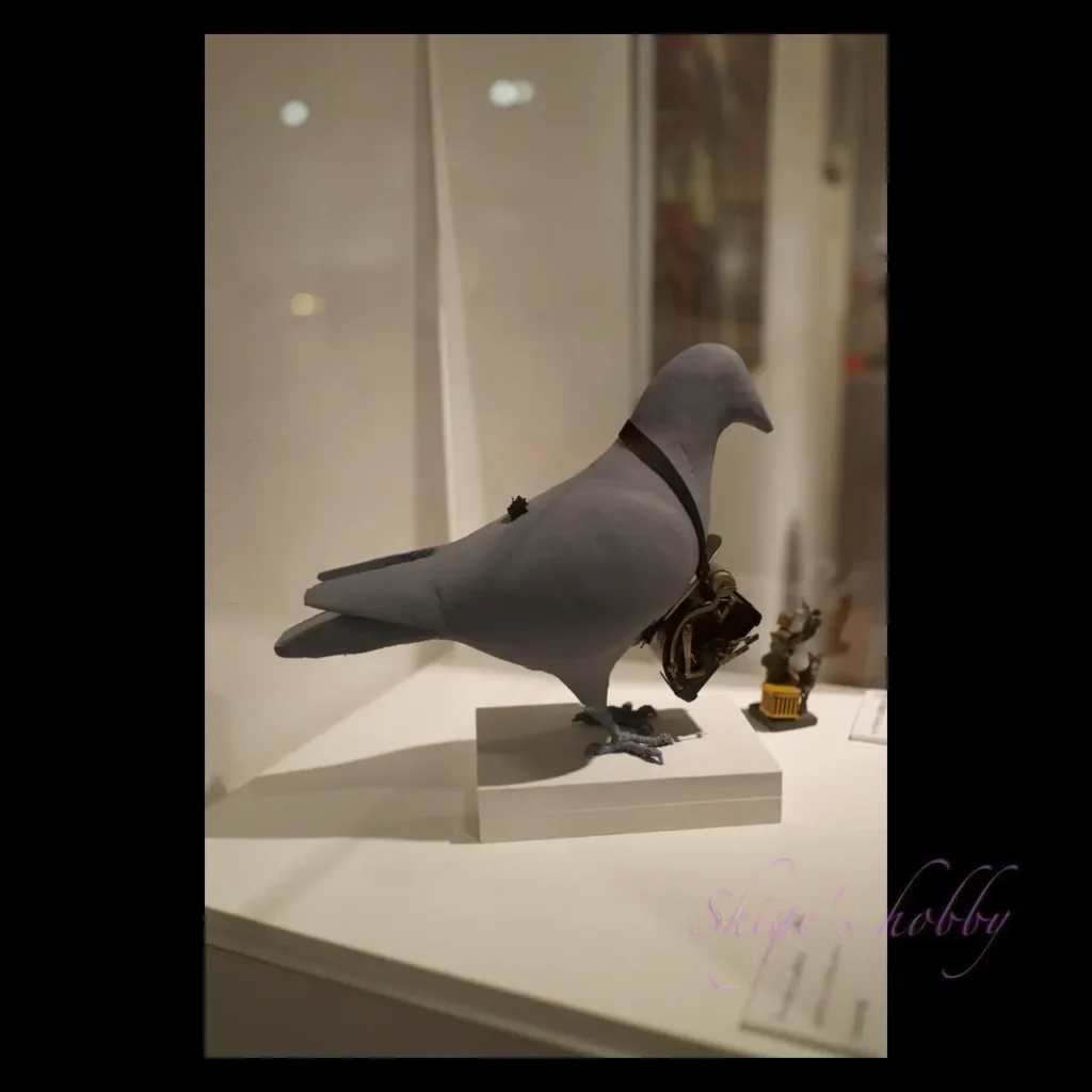 カメラを付けた伝書鳩