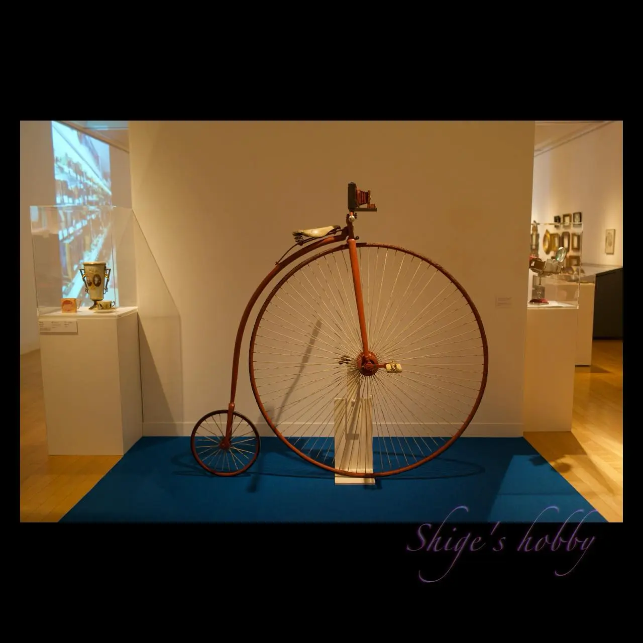 Bicycle + Camera