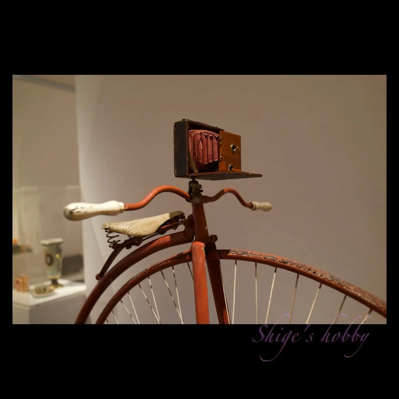 Bicycle + Camera
