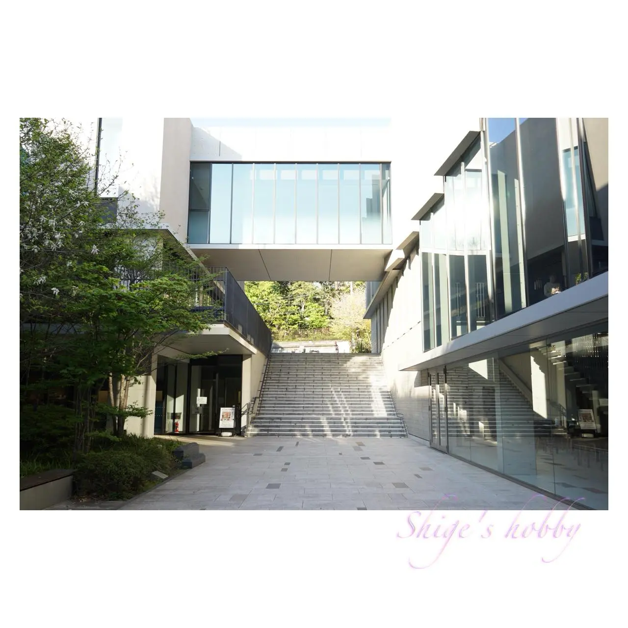 東京音楽大学