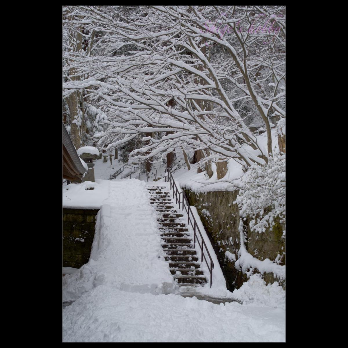 2024-0222 山形・立石寺